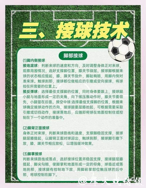 全面解析世界杯体育平台的功能与优势 全面解析世界杯体育平台的功能与优势